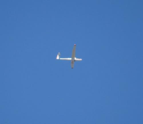 Glider-D-4929-01