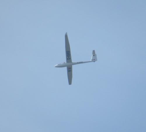 Glider-D-4969-01