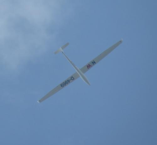 Glider-D-4969-02