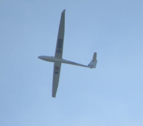 Glider-D-4969-03