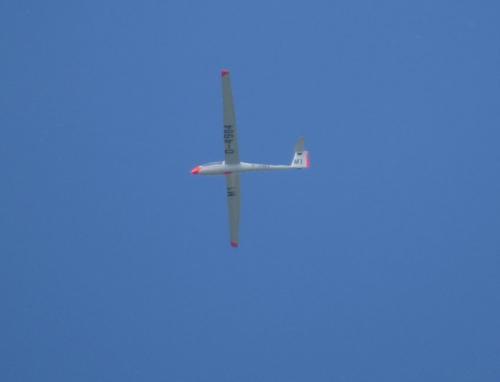 Glider-D-4984-01
