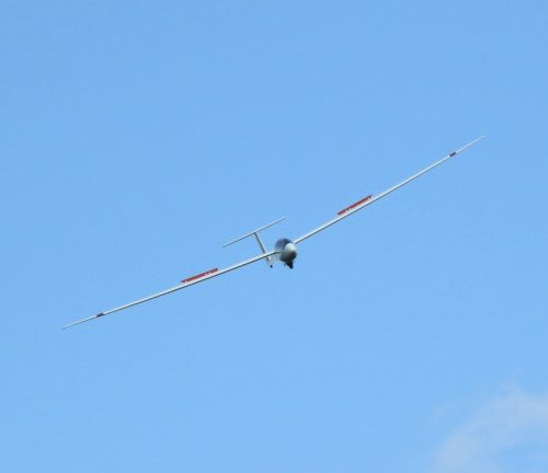 Glider-D-4995-05