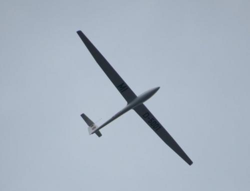 Glider-D-5001-01