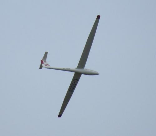 Glider-D-5008-02