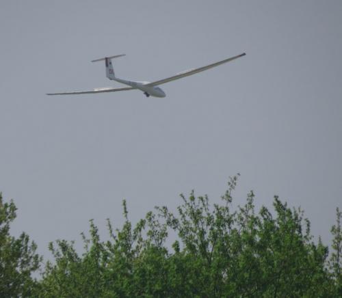 Glider-D-5008-03