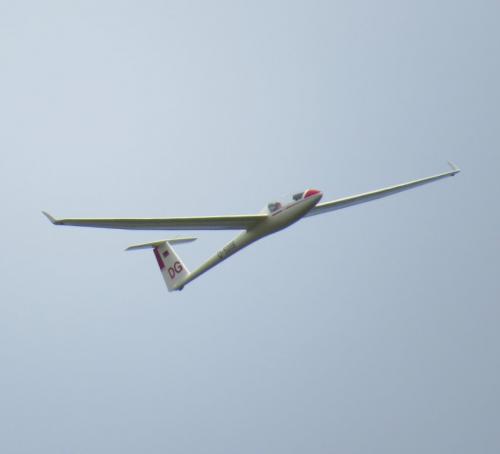 Glider-D-5008-05
