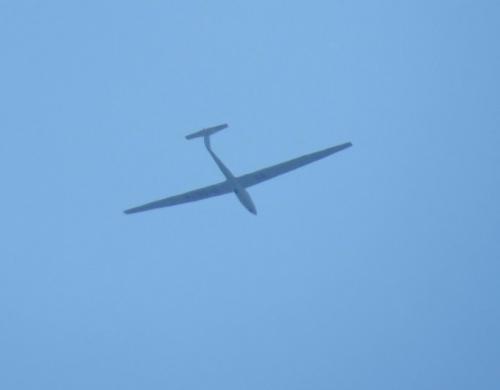 Glider-D-5074-01