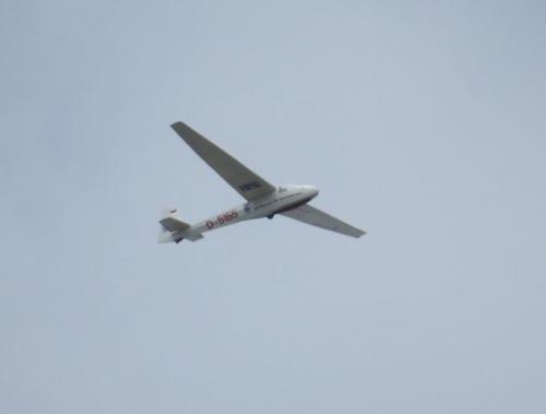 Glider-D-5155-01
