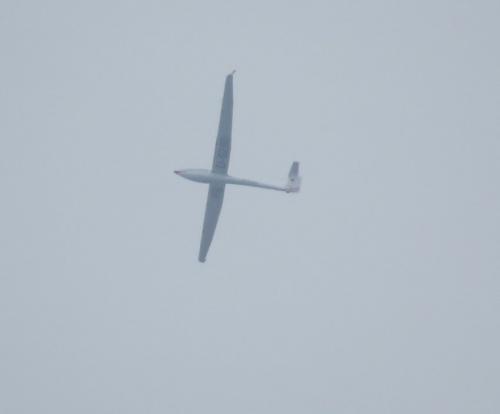 Glider-D-5280-01