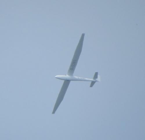 Glider-D-5291-02
