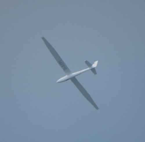 Glider-D-5291-03