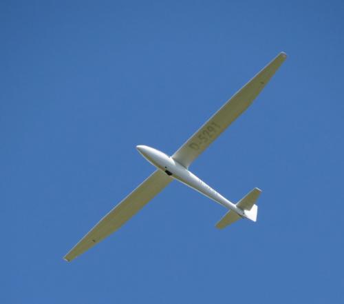 Glider-D-5291-04