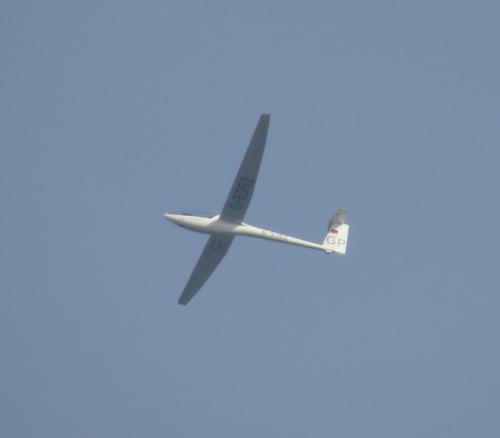 Glider-D-5352-01
