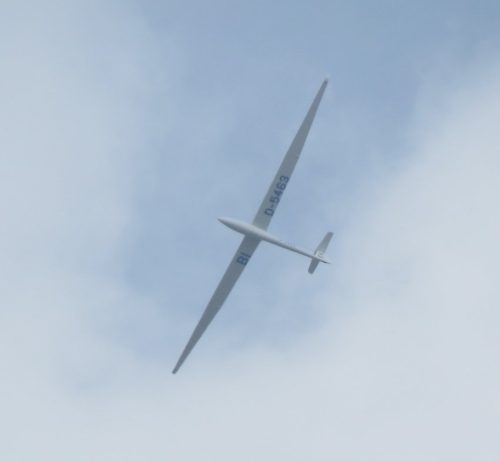 Glider-D-5463-01