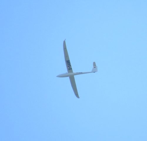 Glider-D-5496-01