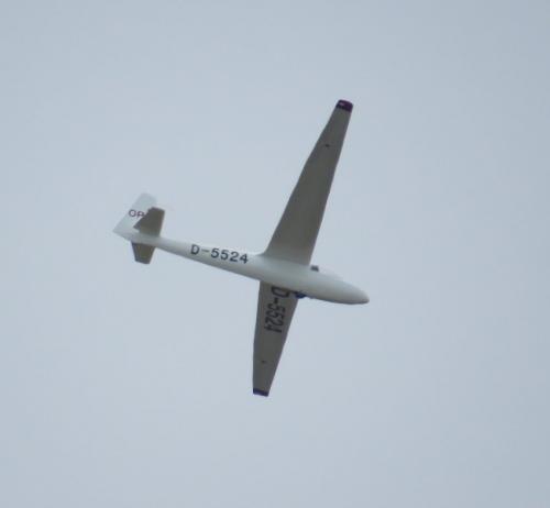 Glider-D-5524-01