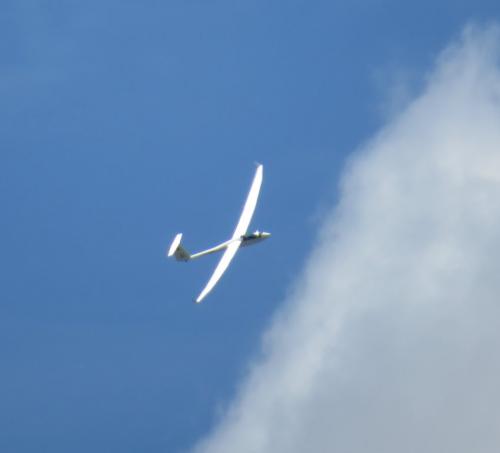 Glider-D-5525-01
