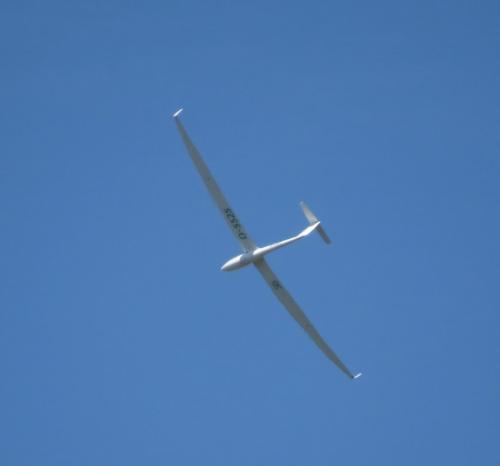 Glider-D-5525-02