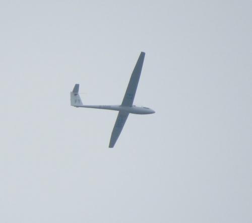 Glider-D-5549-01