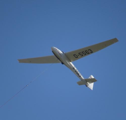 Glider-D-5563-03