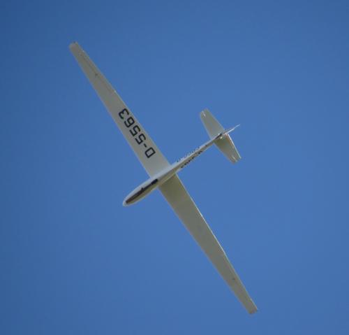 Glider-D-5563-04