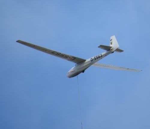Glider-D-5563-05