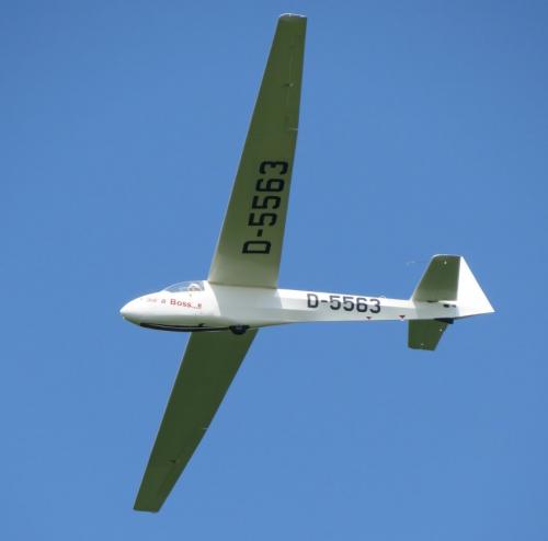 Glider-D-5563-06