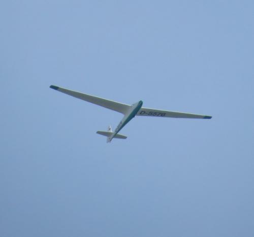 Glider-D-5576-01