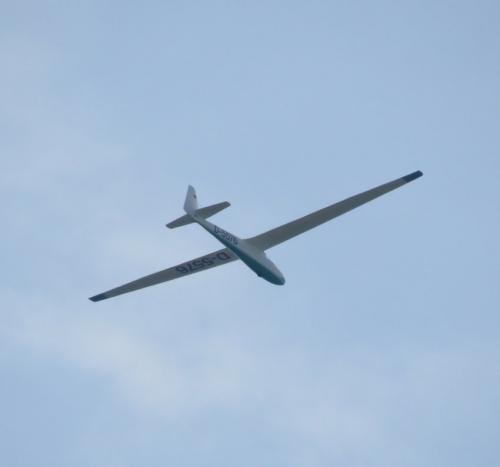 Glider-D-5576-03