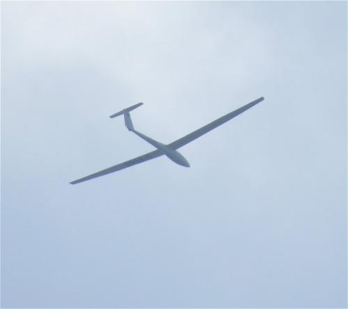Glider-D-5666-01