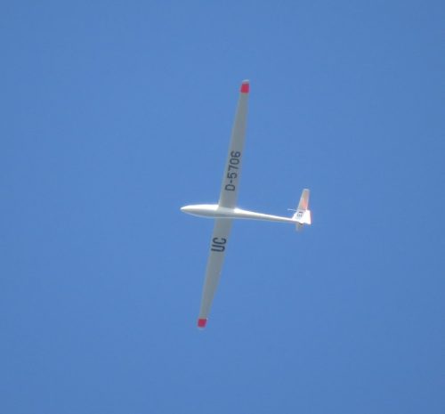 Glider-D-5706-01