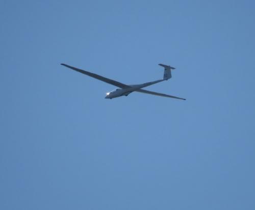 Glider-D-5756-02
