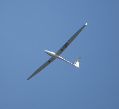 Glider-D-5819-01