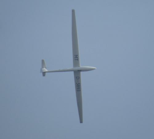 Glider-D-5893-01