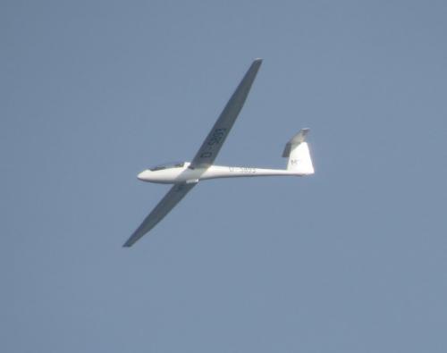 Glider-D-5893-02