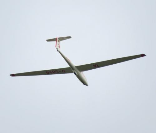 Glider-D-5899-03