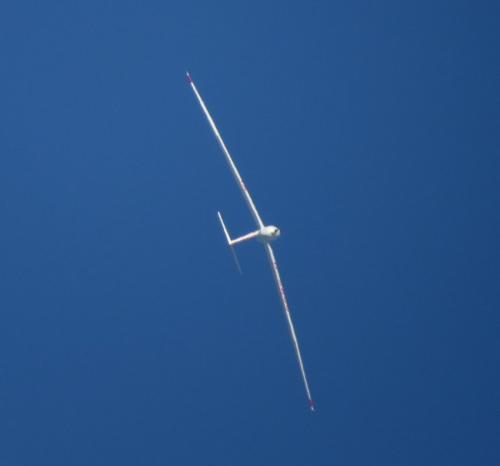Glider-D-5899-09