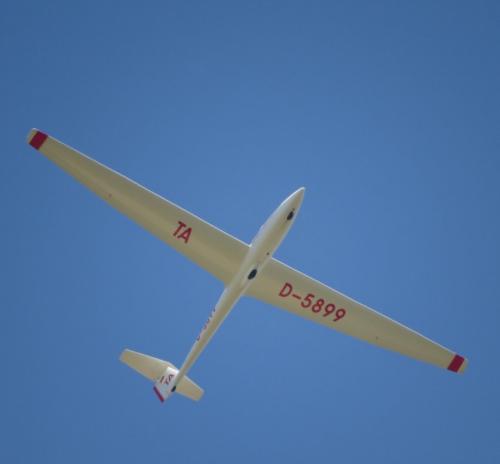 Glider-D-5899-10