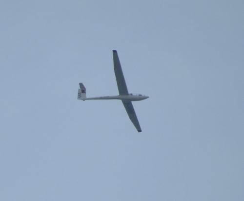 Glider-D-5999-01