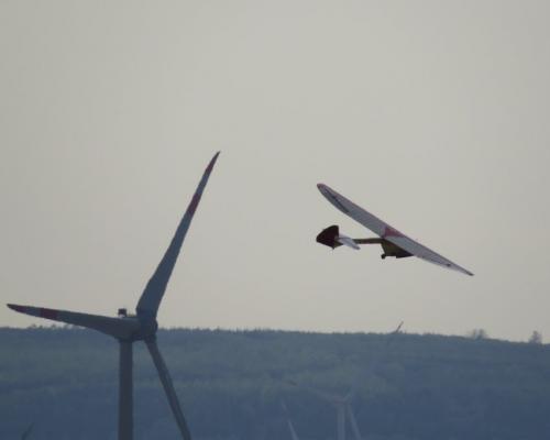 Glider-D-6059-03