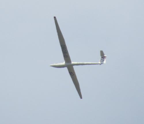 Glider-D-6090-01