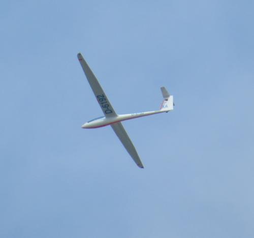 Glider-D-6192-02