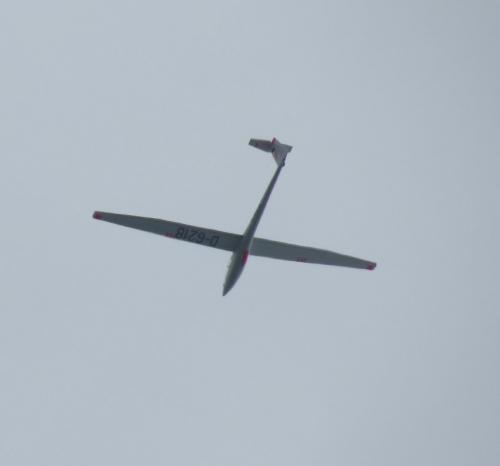 Glider-D-6218-01