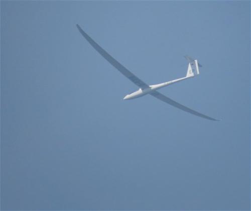 Glider-D-6318-01