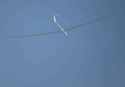 Glider-D-6318-02