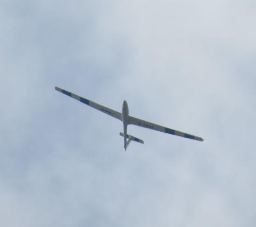 Glider-D-6365-01