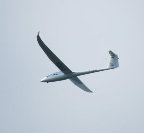 Glider-D-6508-07
