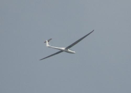 Glider-D-6514-01