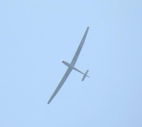 Glider-D-6543-01