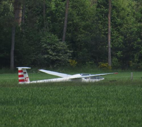 Glider-D-6547-01